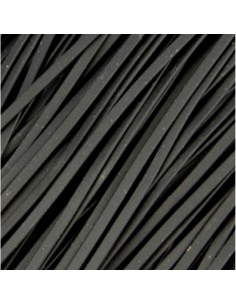 pasta-italiana-nero-di-seppia 2