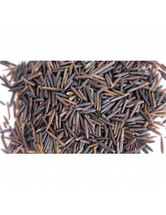 arroz-salvaje 2