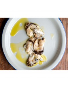 cocochas-en-aceite-de-oliva 2